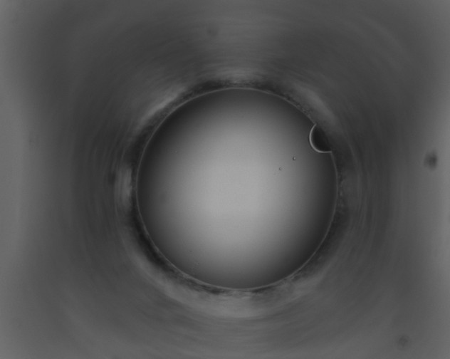 X0000093520024200710191341