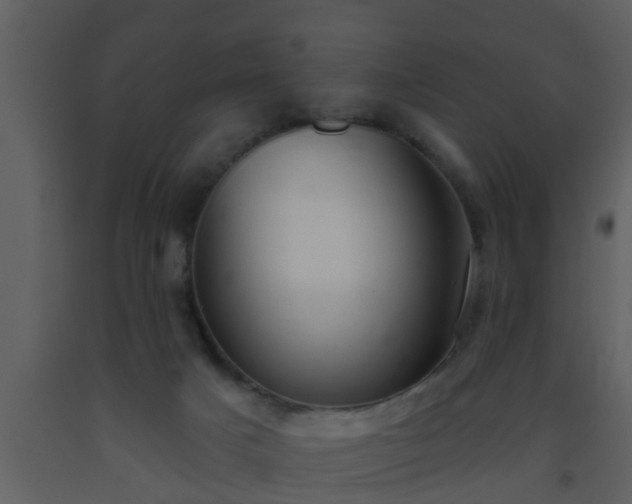 X0000093520025200710191341