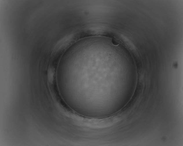 X0000093520026200710191341