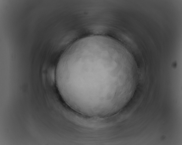 X0000093520028200710191341