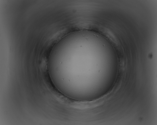 X0000093520029200710191341