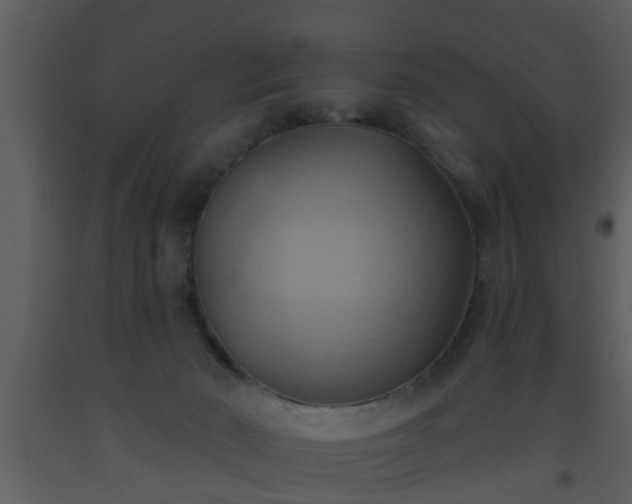 X0000093520030200710191341