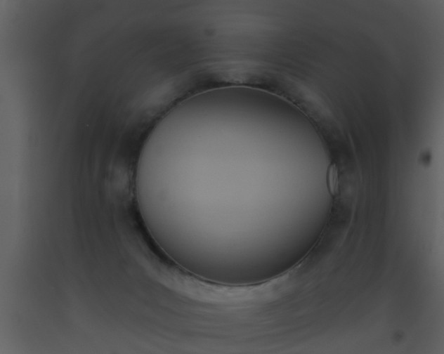 X0000093520031200710191341