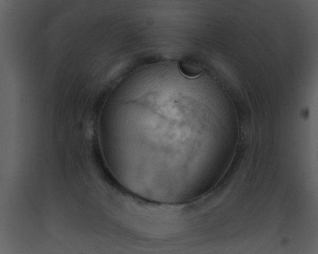 X0000093520032200710191341