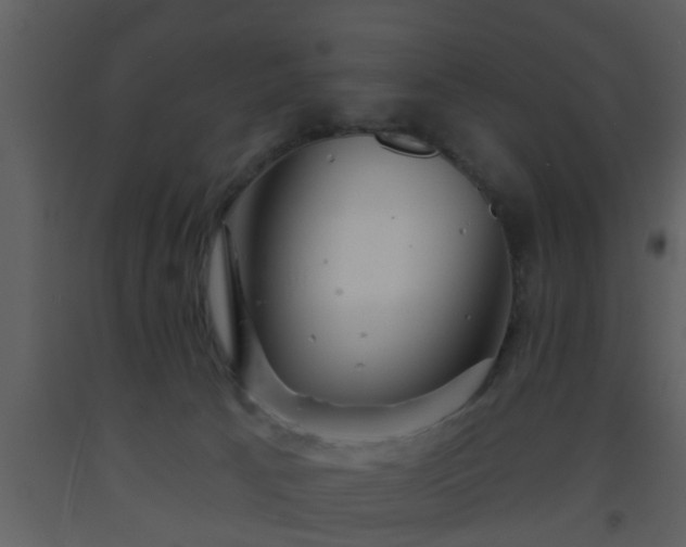 X0000093520033200710191341