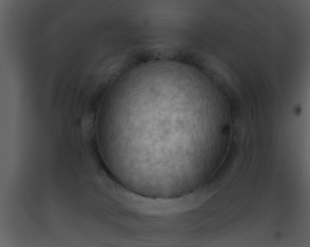 X0000093520034200710191341