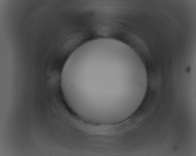 X0000093520036200710191341