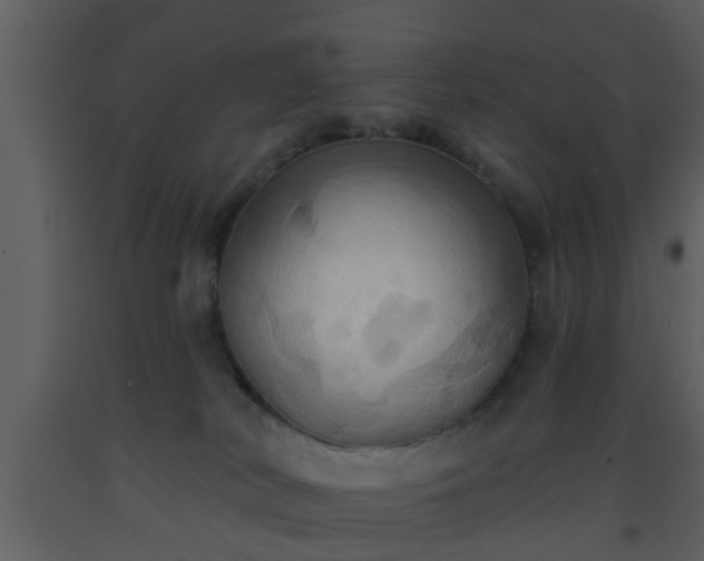 X0000093520038200710191341