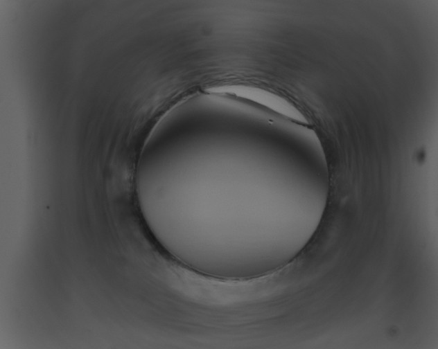 X0000093520039200710191341