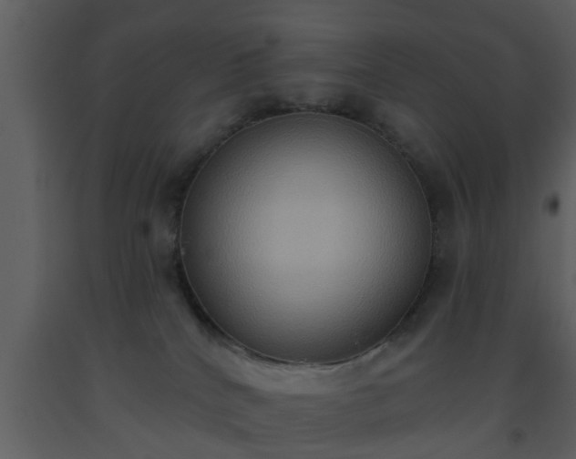 X0000093520040200710191341