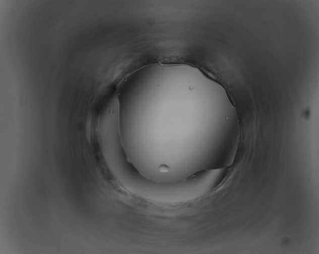 X0000093520041200710191341