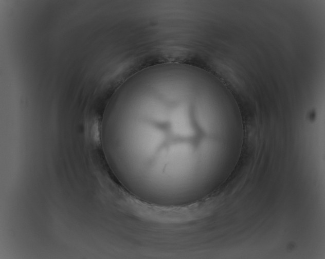 X0000093520042200710191341