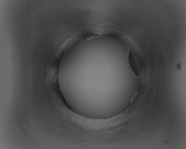 X0000093520043200710191341