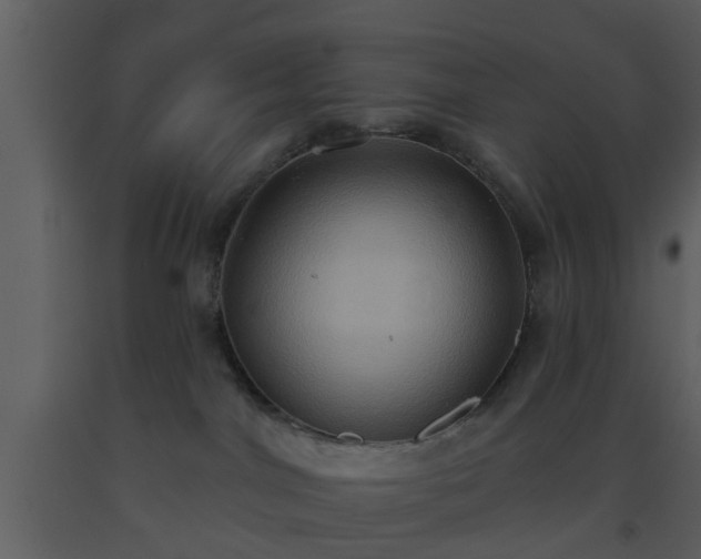 X0000093520044200710191341