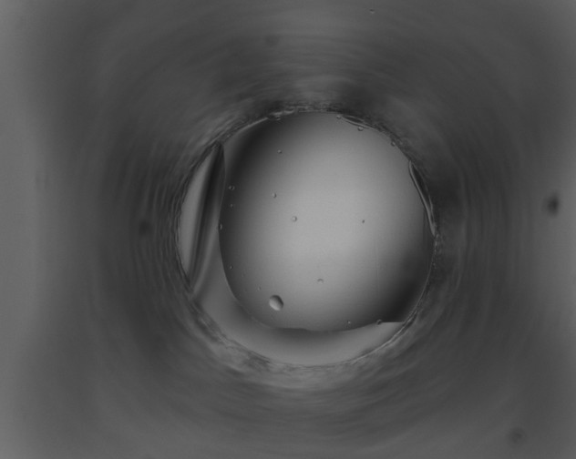 X0000093520045200710191341