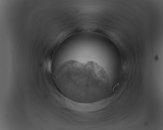 X0000093520046200710191341