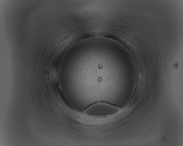 X0000093520048200710191341