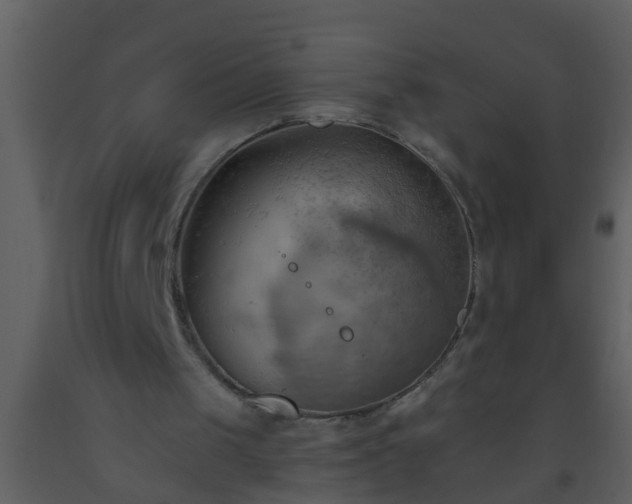 X0000093520049200710191341