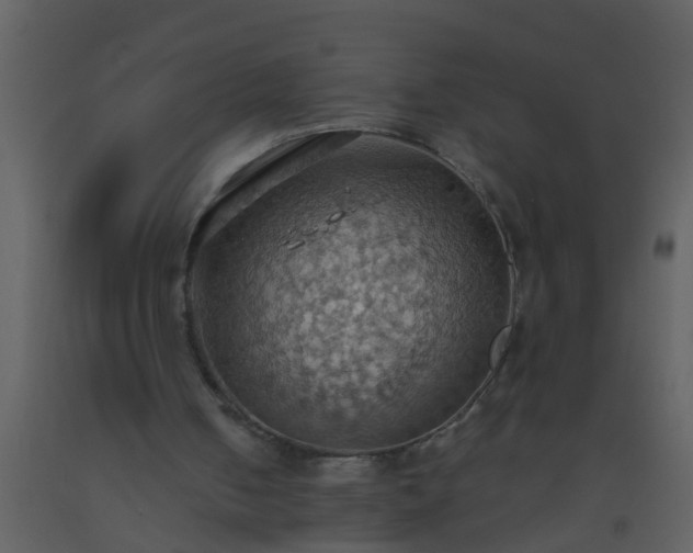 X0000093520050200710191341