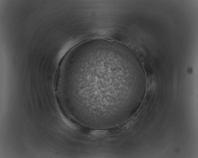 X0000093520051200710191341