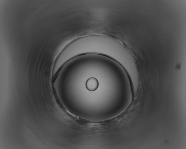 X0000093520052200710191341