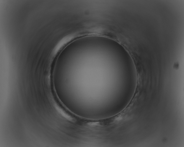 X0000093520054200710191341