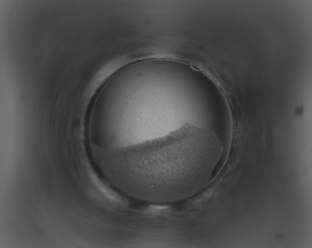 X0000093520055200710191341