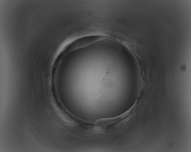 X0000093520056200710191341