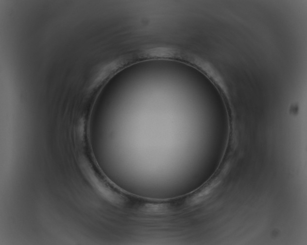 X0000093520057200710191341