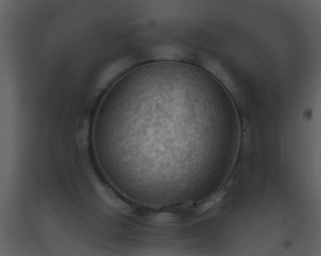 X0000093520058200710191341