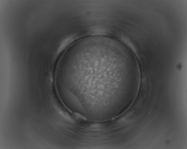 X0000093520059200710191341