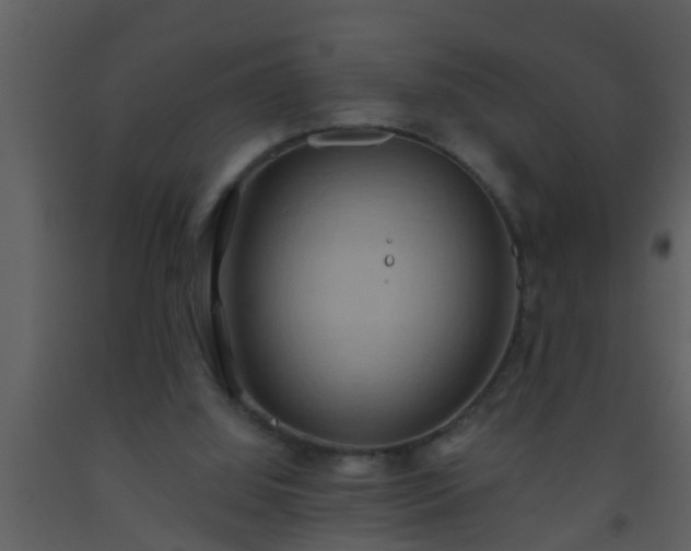 X0000093520060200710191341