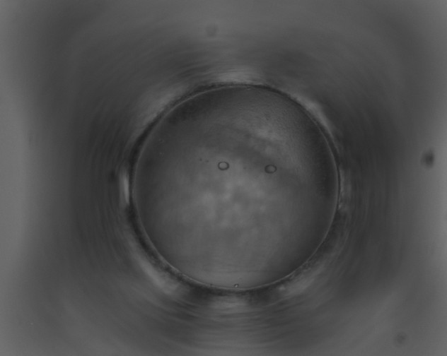 X0000093520061200710191341