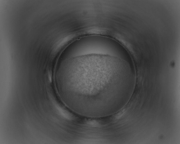 X0000093520062200710191341