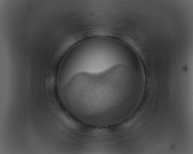 X0000093520063200710191341