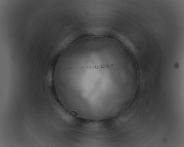 X0000093520065200710191341