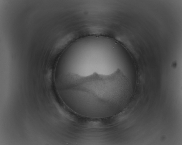 X0000093520066200710191341