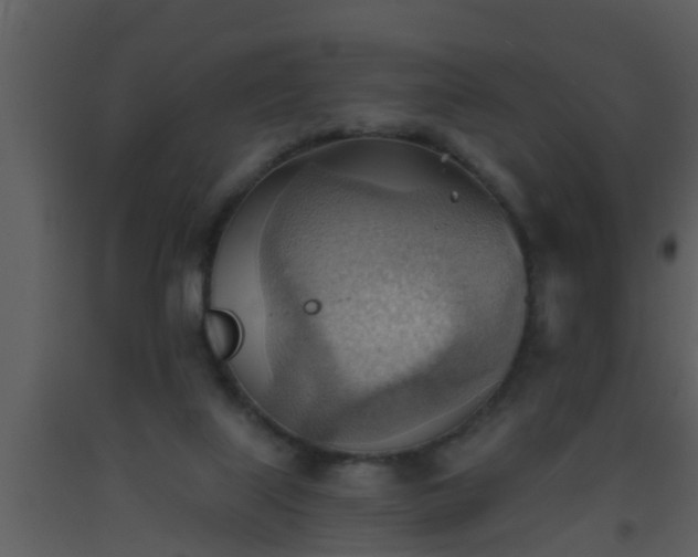 X0000093520067200710191341