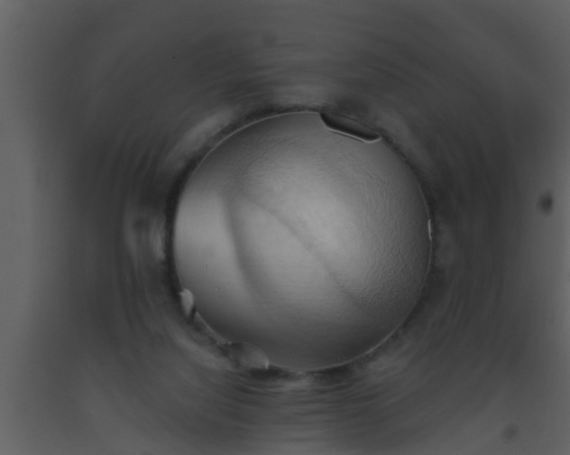 X0000093520068200710191341