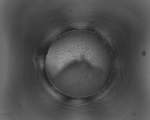 X0000093520069200710191341