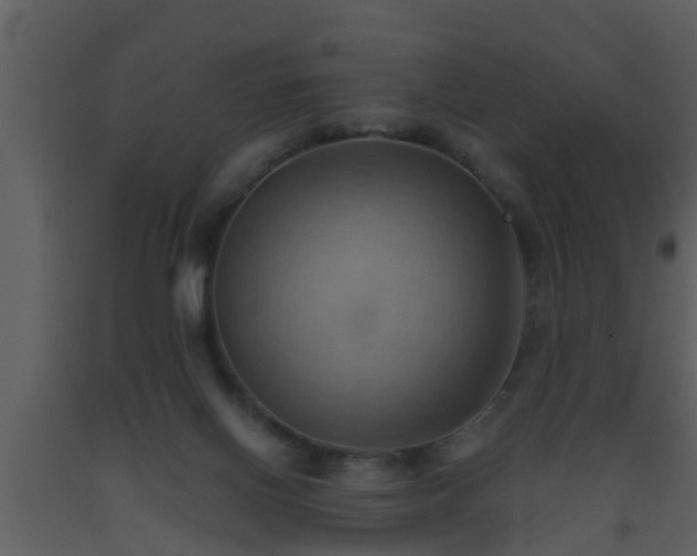 X0000093520070200710191341