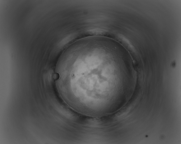 X0000093520071200710191341