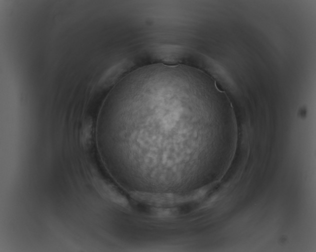 X0000093520073200710191341