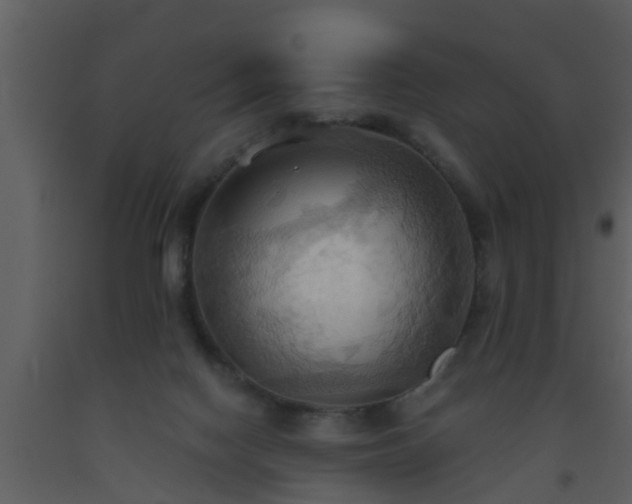 X0000093520074200710191341