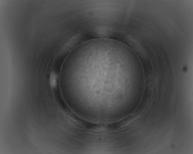 X0000093520075200710191341