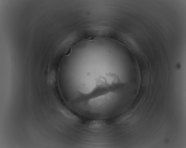 X0000093520077200710191341