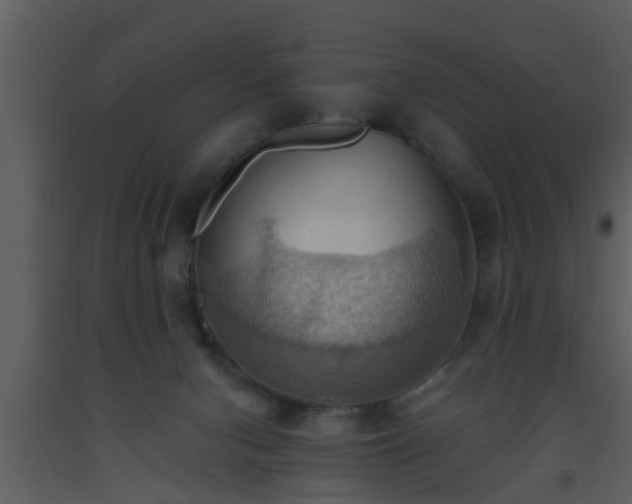 X0000093520078200710191341