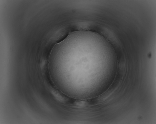 X0000093520079200710191341