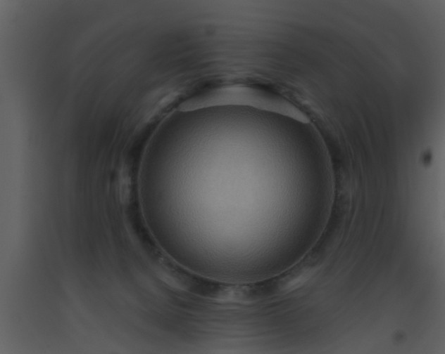 X0000093520080200710191341