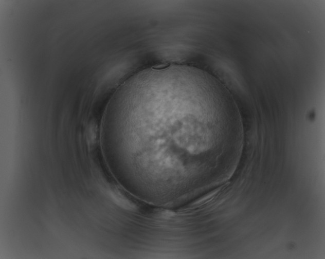 X0000093520081200710191341